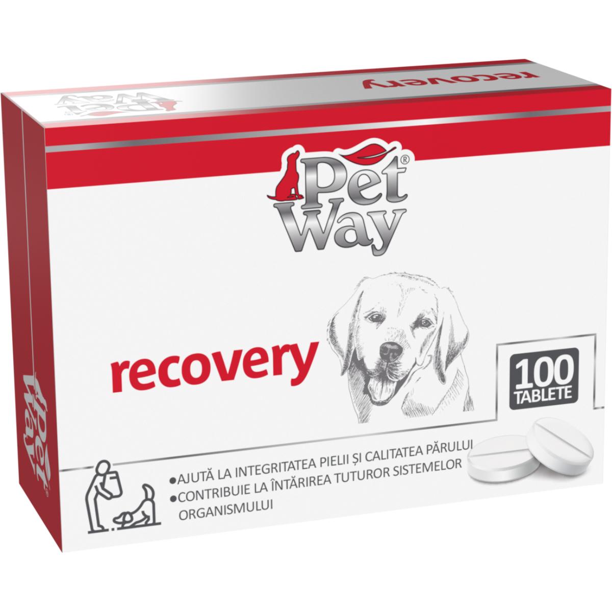 PETWAY Recovery, XS-XL, supliment convalescență câini, cutie, 100 comprimate - poza 3