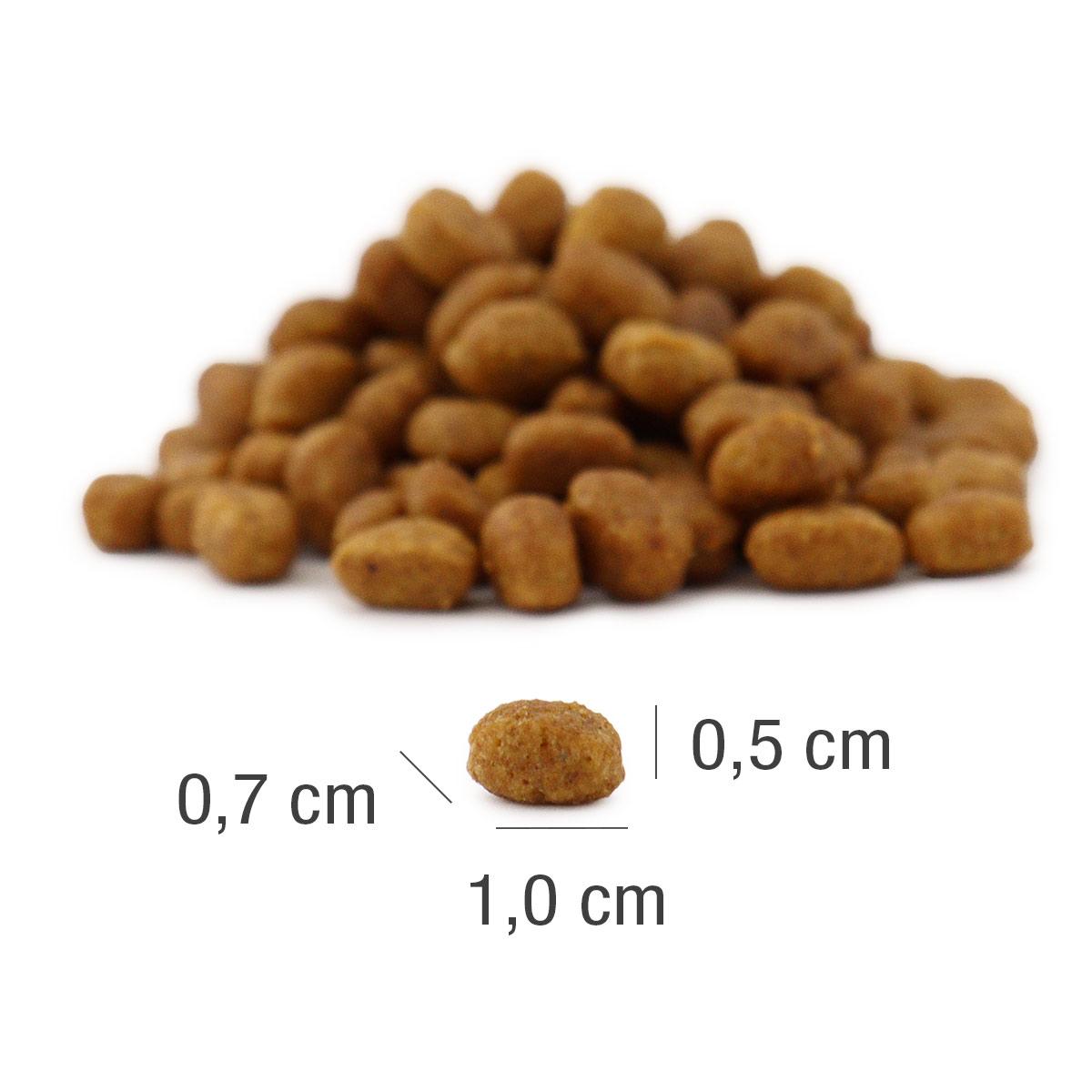 PLATINUM MeatCrisp, Pui, hrană uscată pisici, deshidratat, 3kg - poza 4