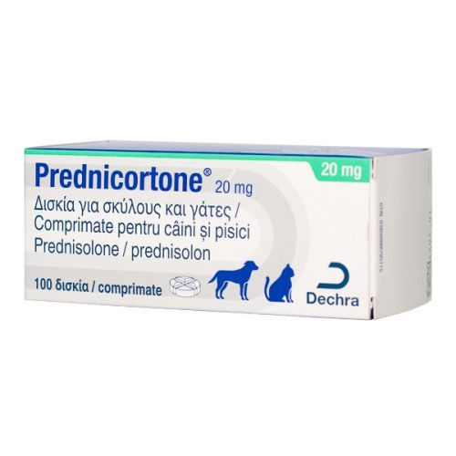Prednicortone, 10 tablete - poza 2