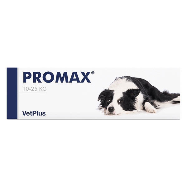 Promax, pasta - poza 2