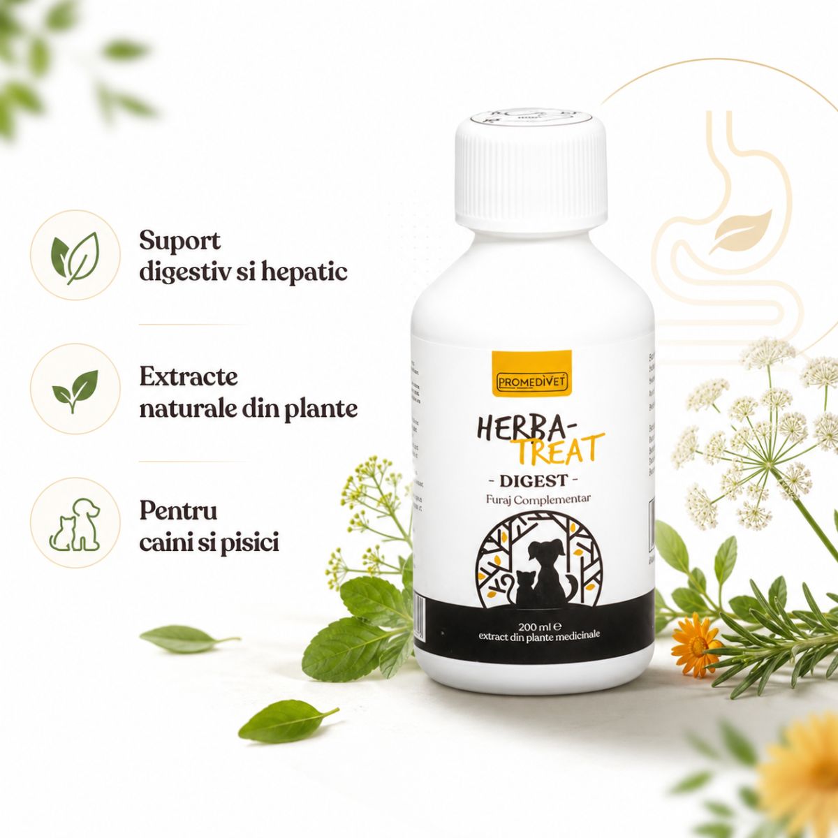 PROMEDIVET Herba-Treat Digest Hepatoprotector, supliment sistem digestiv câini, suspensie orală PROMEDIVET Herba-Treat Digest Hepatoprotector, XS-XL, supliment sistem digestiv câini și pisici, flacon, 200ml suspensie orală - poza 4