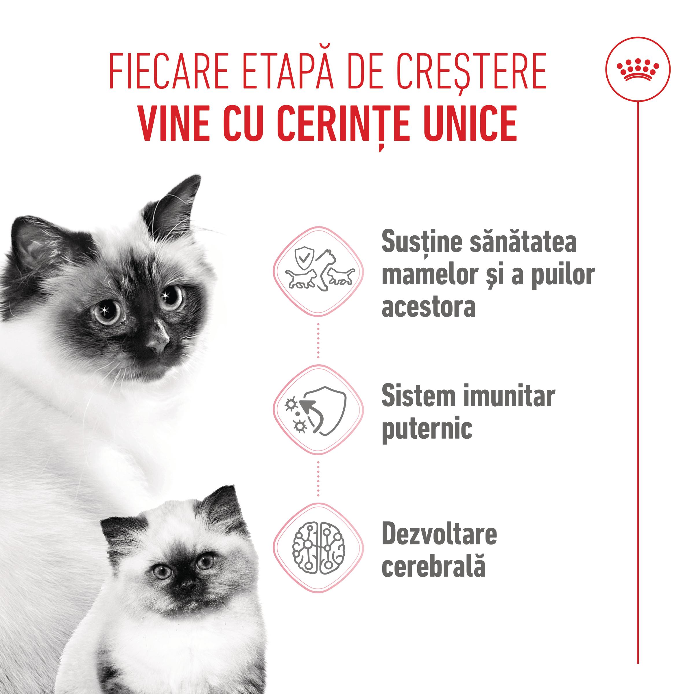 PROMO ROYAL CANIN Mother & BabyCat, hrană uscată pisici, mama și puiul, 2kg + 400g GRATUIT - poza 5