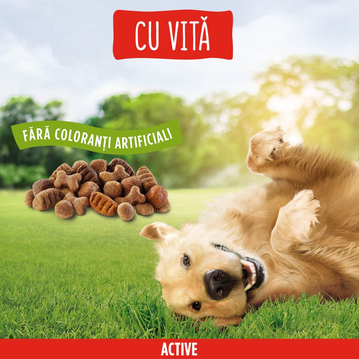 PURINA Friskies Adult Active, Vită, hrană uscată câini, activitate intensă, 15kg - poza 2