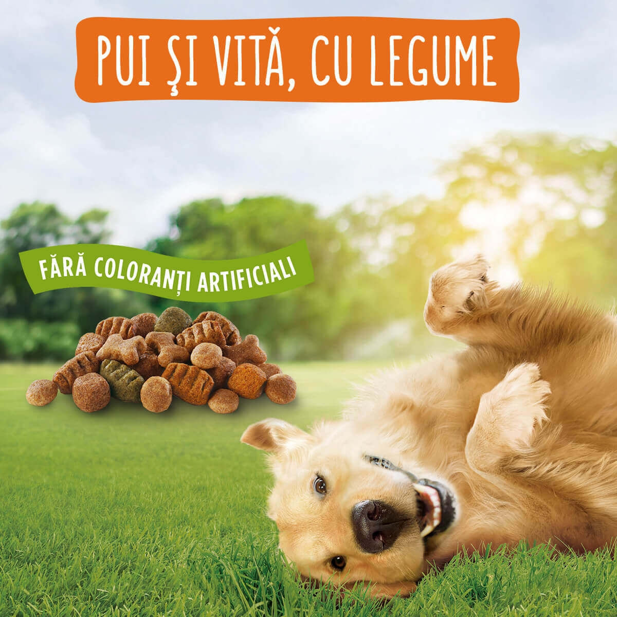 PURINA Friskies Adult Balance, Pui cu Legume, hrană uscată câini, 15kg - poza 5