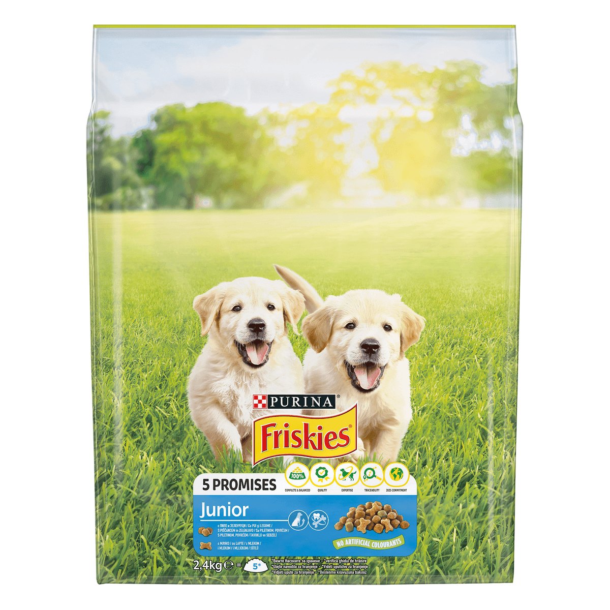 PURINA Friskies Junior, Pui cu Legume, hrană uscată câini junior, 2.4kg - poza 1