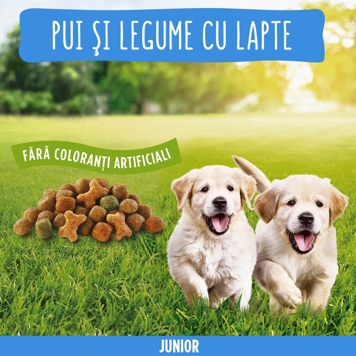 PURINA Friskies Junior, Pui cu Legume, hrană uscată câini junior, 8kg - poza 5