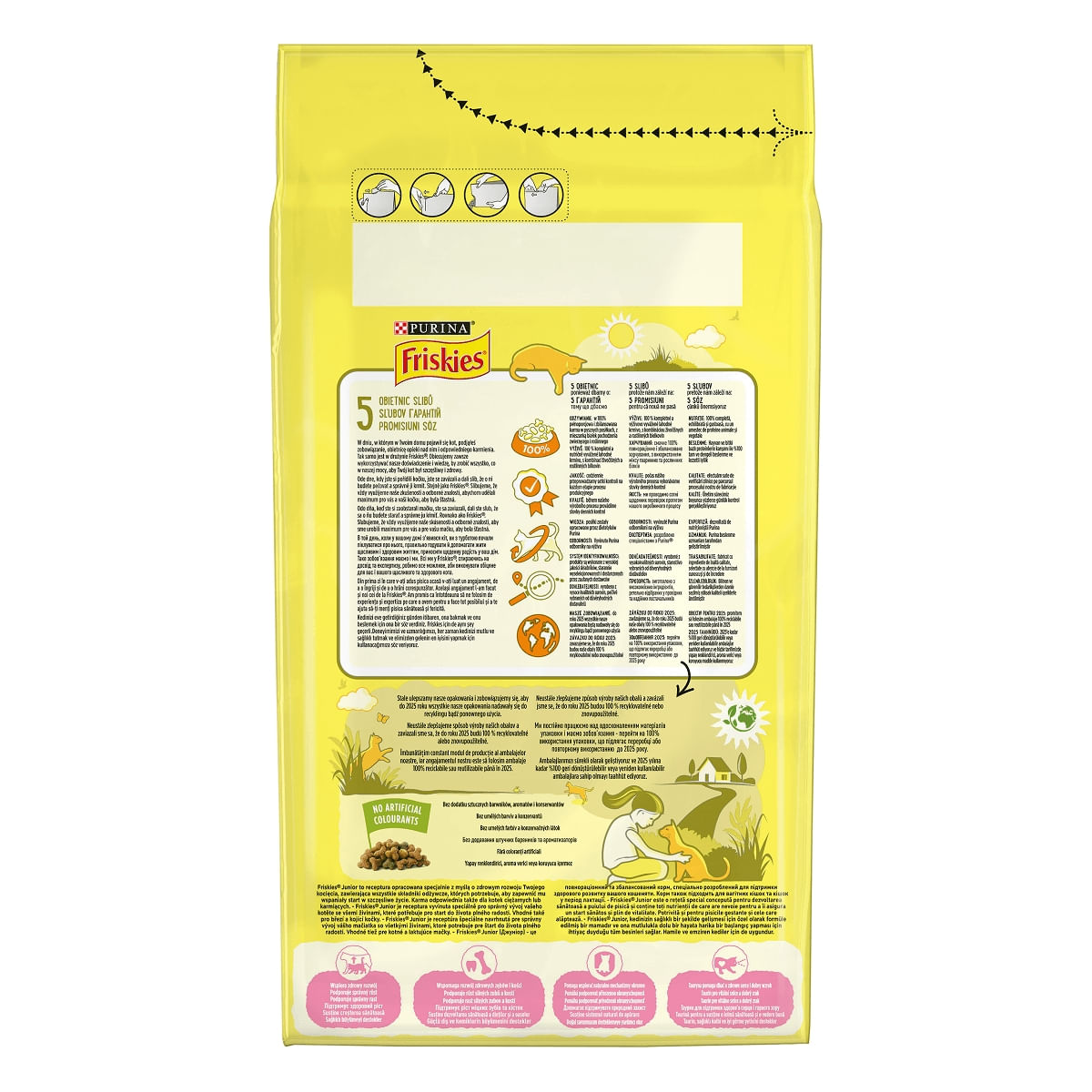 PURINA Friskies Junior, Pui și Curcan, hrană uscată pisici junior, 1.5kg - poza 2