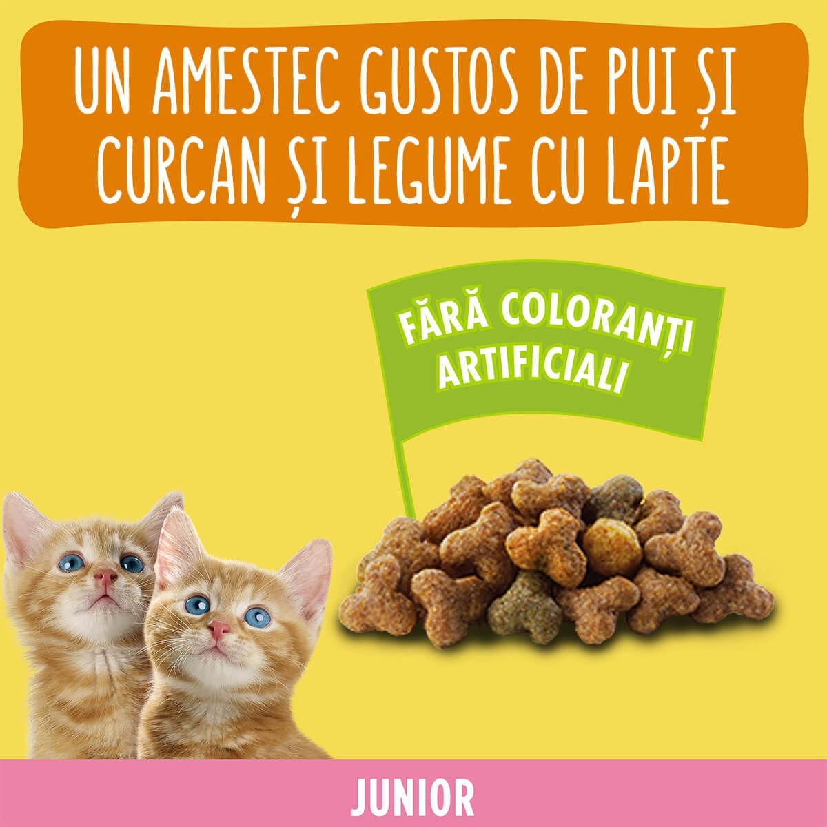 PURINA Friskies Junior, Pui și Curcan, hrană uscată pisici junior, 10kg - poza 3