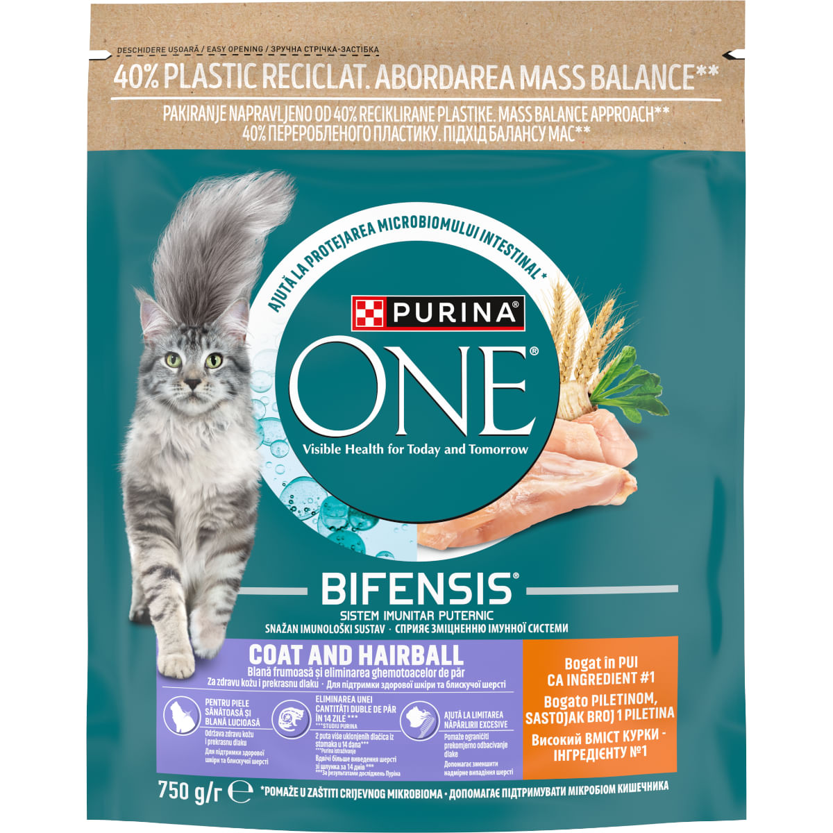PURINA One Coat & Hairball, Pui, hrană uscată pisici, piele & blană, limitarea ghemurilor de blană, 750g - poza 1
