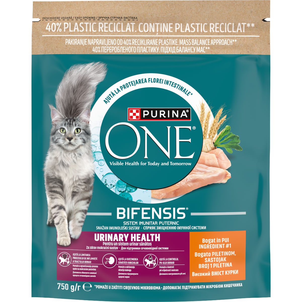 PURINA One Urinary Health, Pui, hrană uscată pisici, sistem urinar, 750g - poza 2