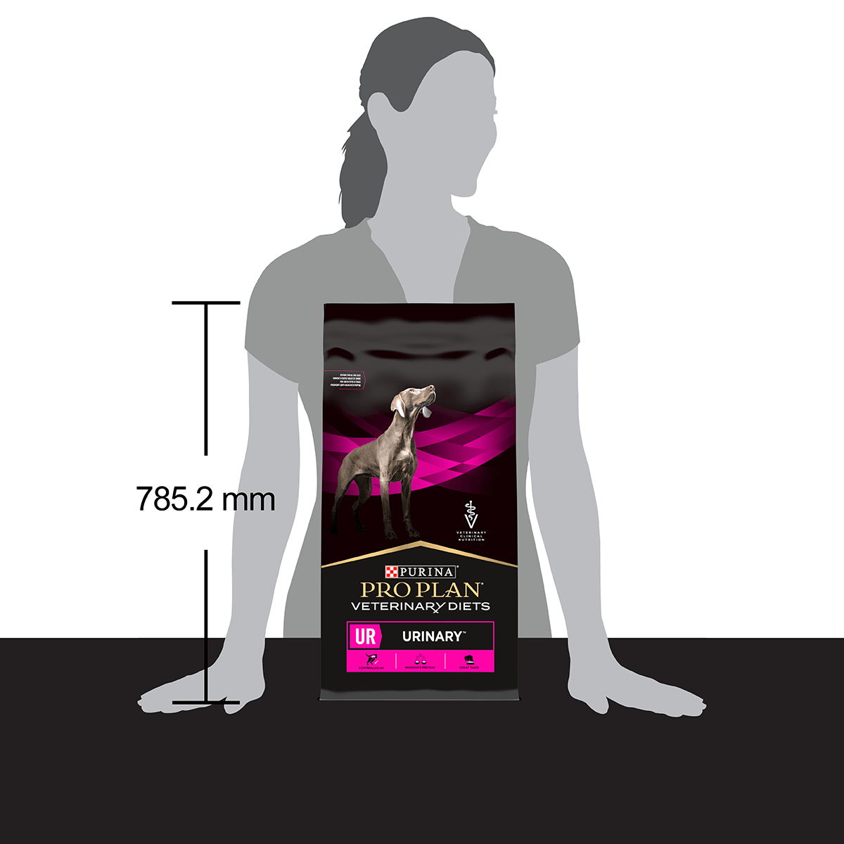PURINA Pro Plan Veterinary Diets Urinary, dietă veterinară câini, hrană uscată, afecțiuni urinare, 12kg - poza 3