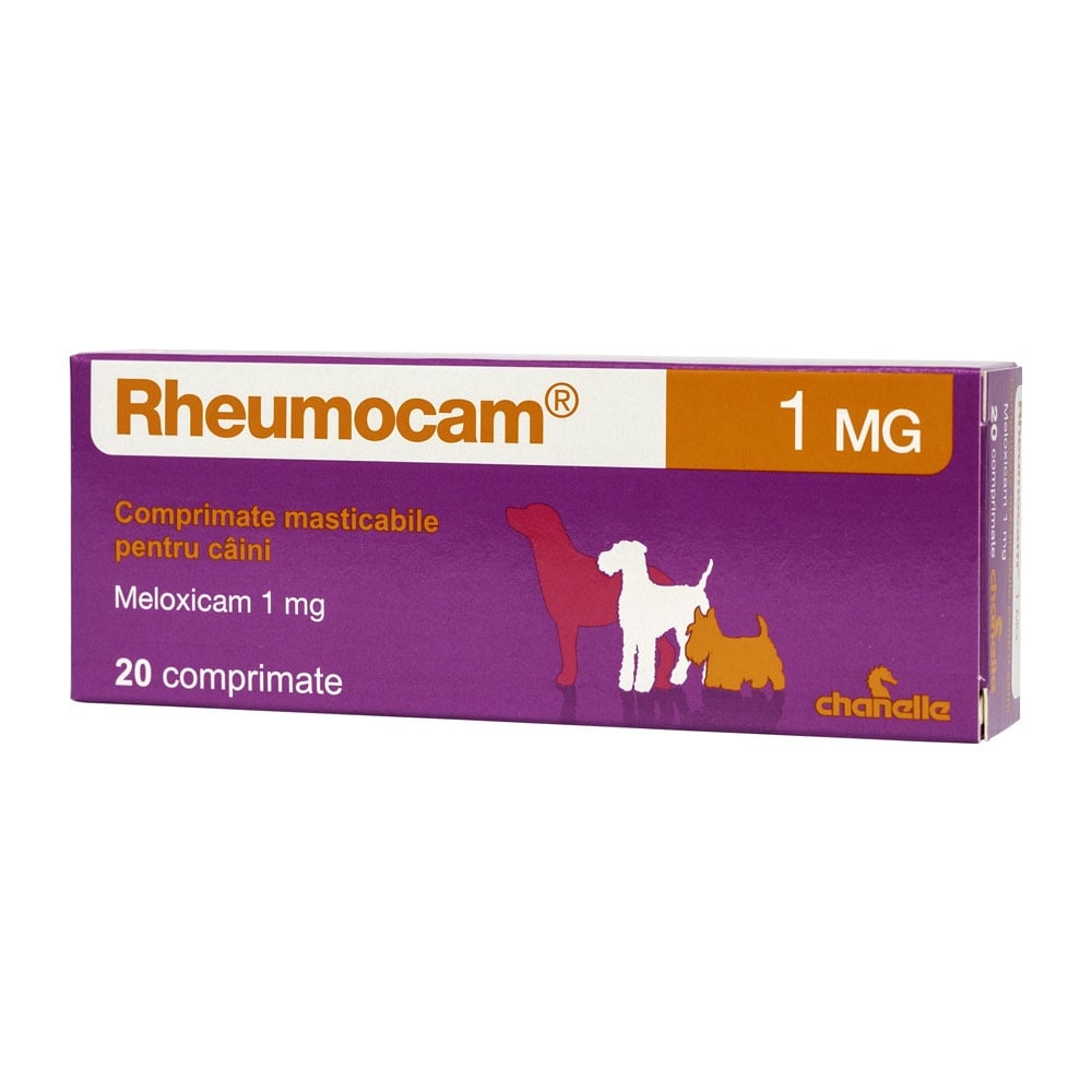 Rheumocam, 20 comprimate - poza 1
