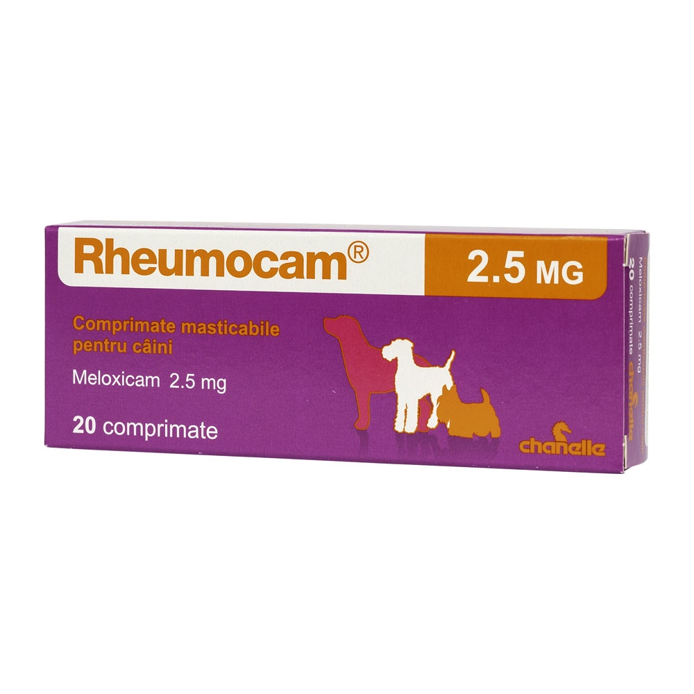 Rheumocam, 20 comprimate - poza 2