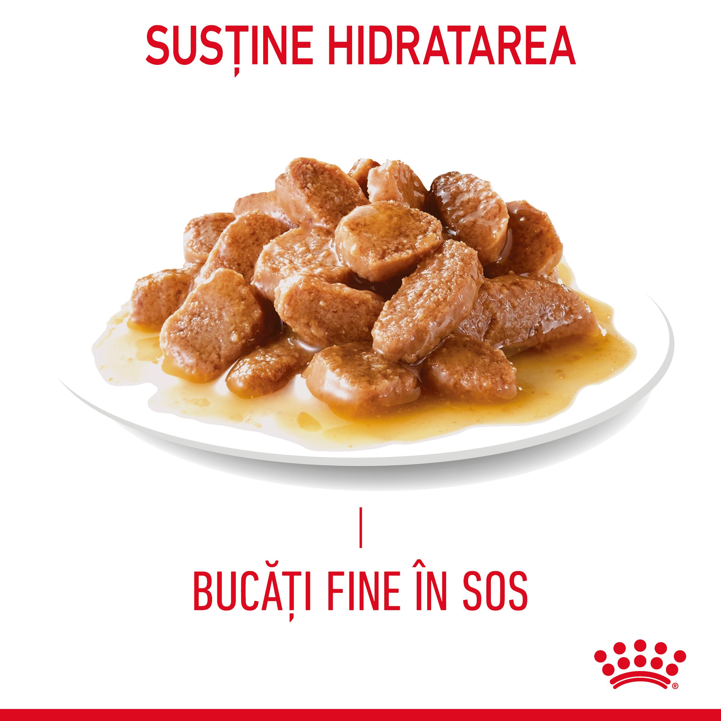 ROYAL CANIN Appetite Control Care Adult hrană umedă pisici reglarea apetitului (în sos), bax, 85g x 12buc - poza 4