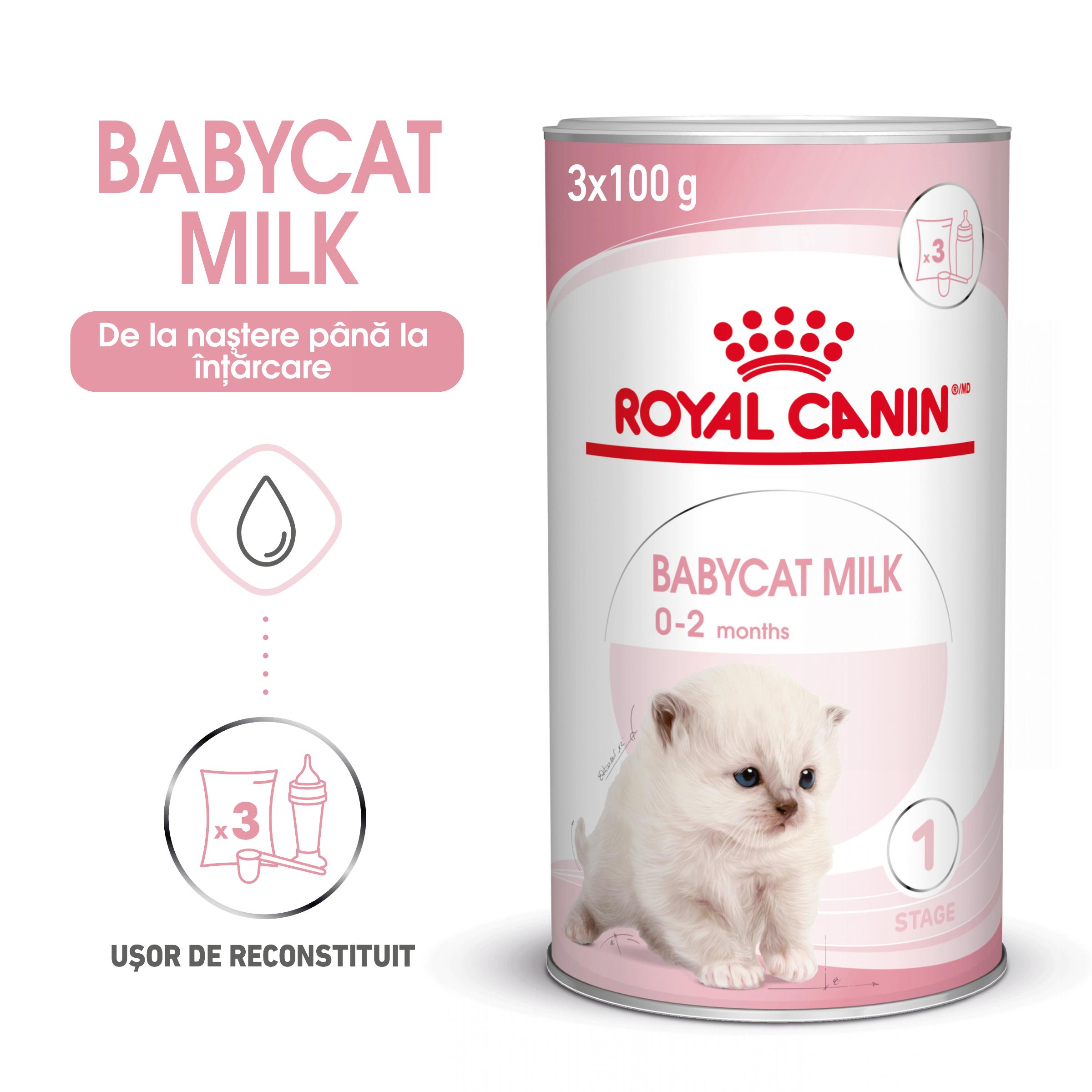 ROYAL CANIN BabyCat Milk, înlocuitor lapte matern pisici, 300g - poza 1