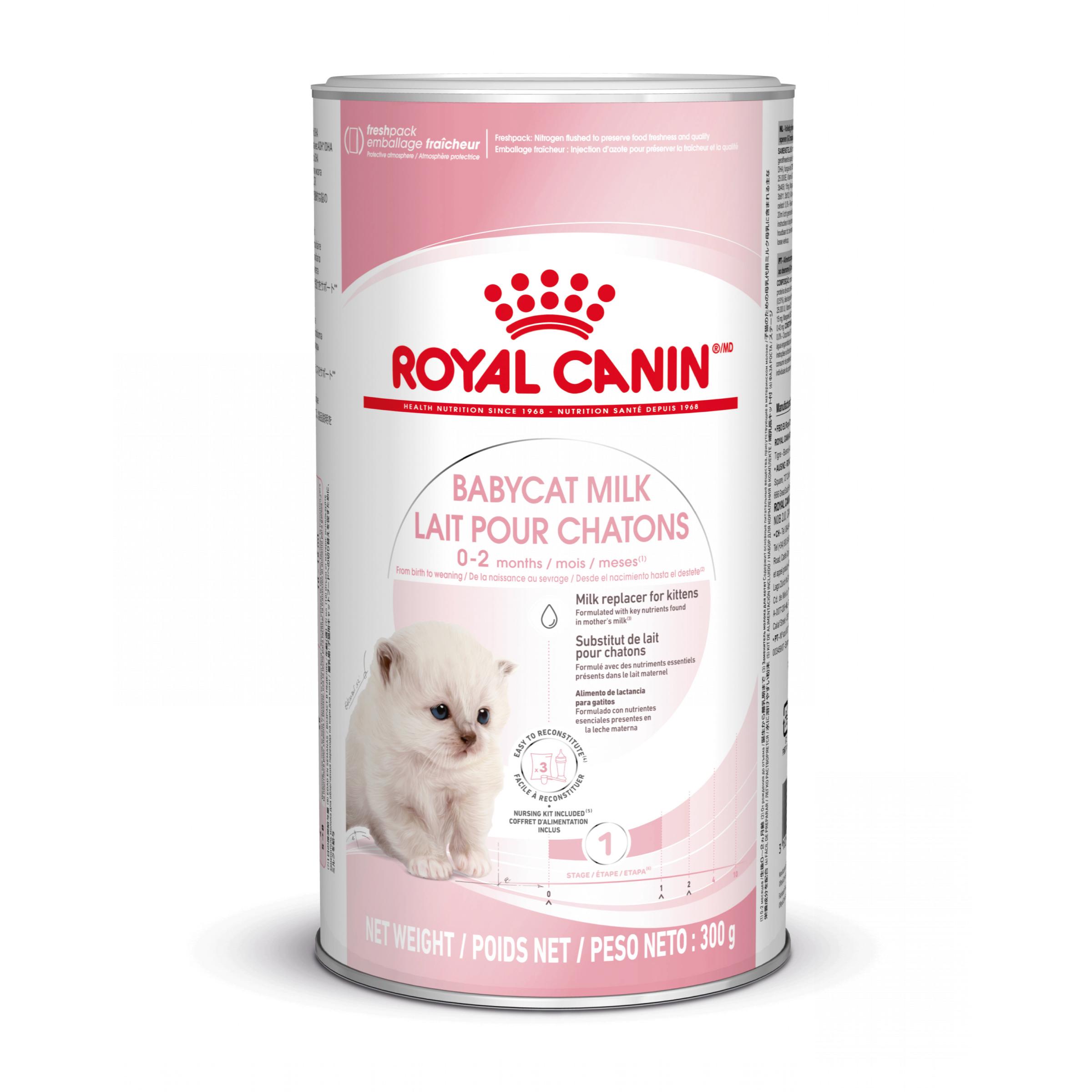 ROYAL CANIN BabyCat Milk, înlocuitor lapte matern pisici, 300g - poza 3