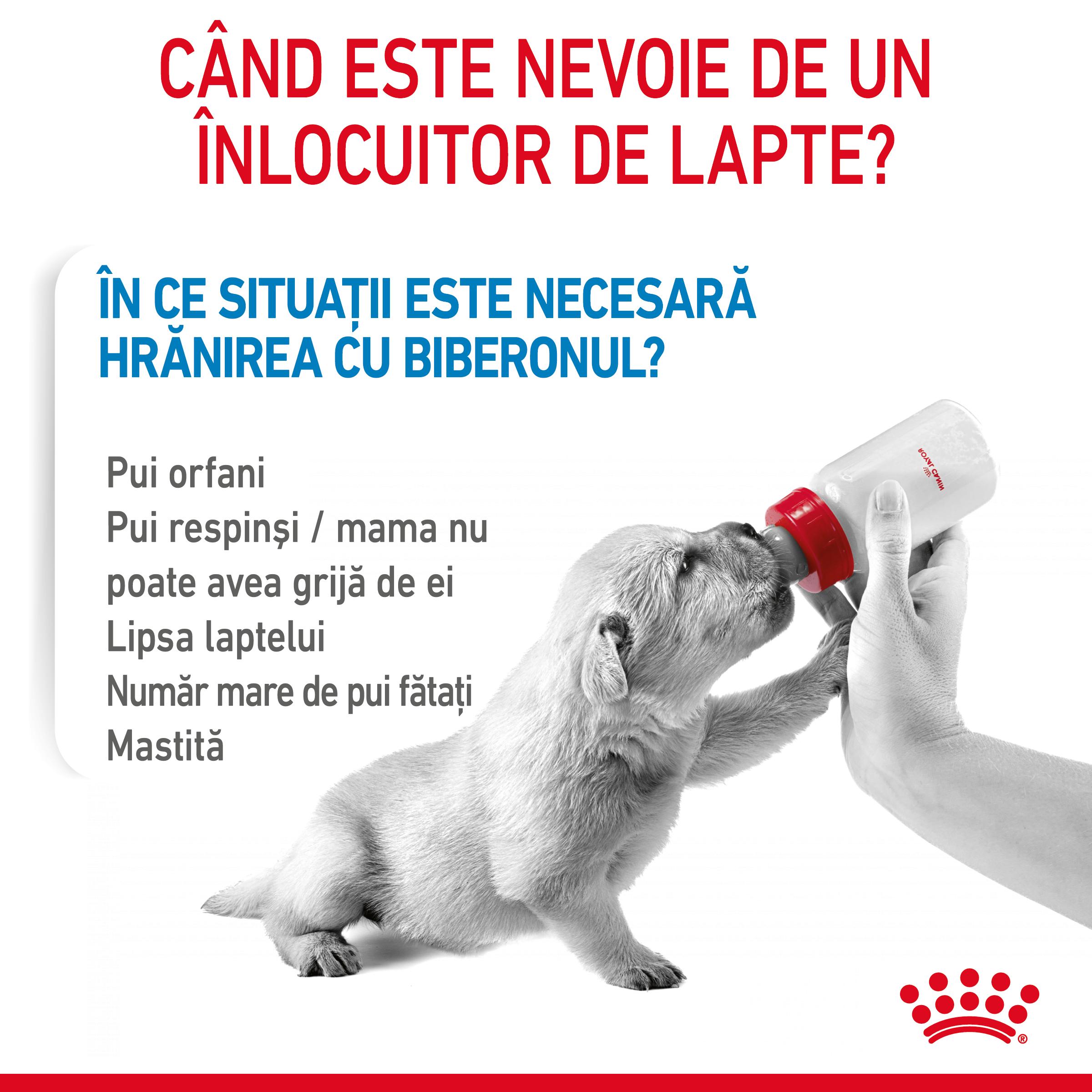 ROYAL CANIN Babydog Milk, înlocuitor lapte matern câini, 400g - poza 4