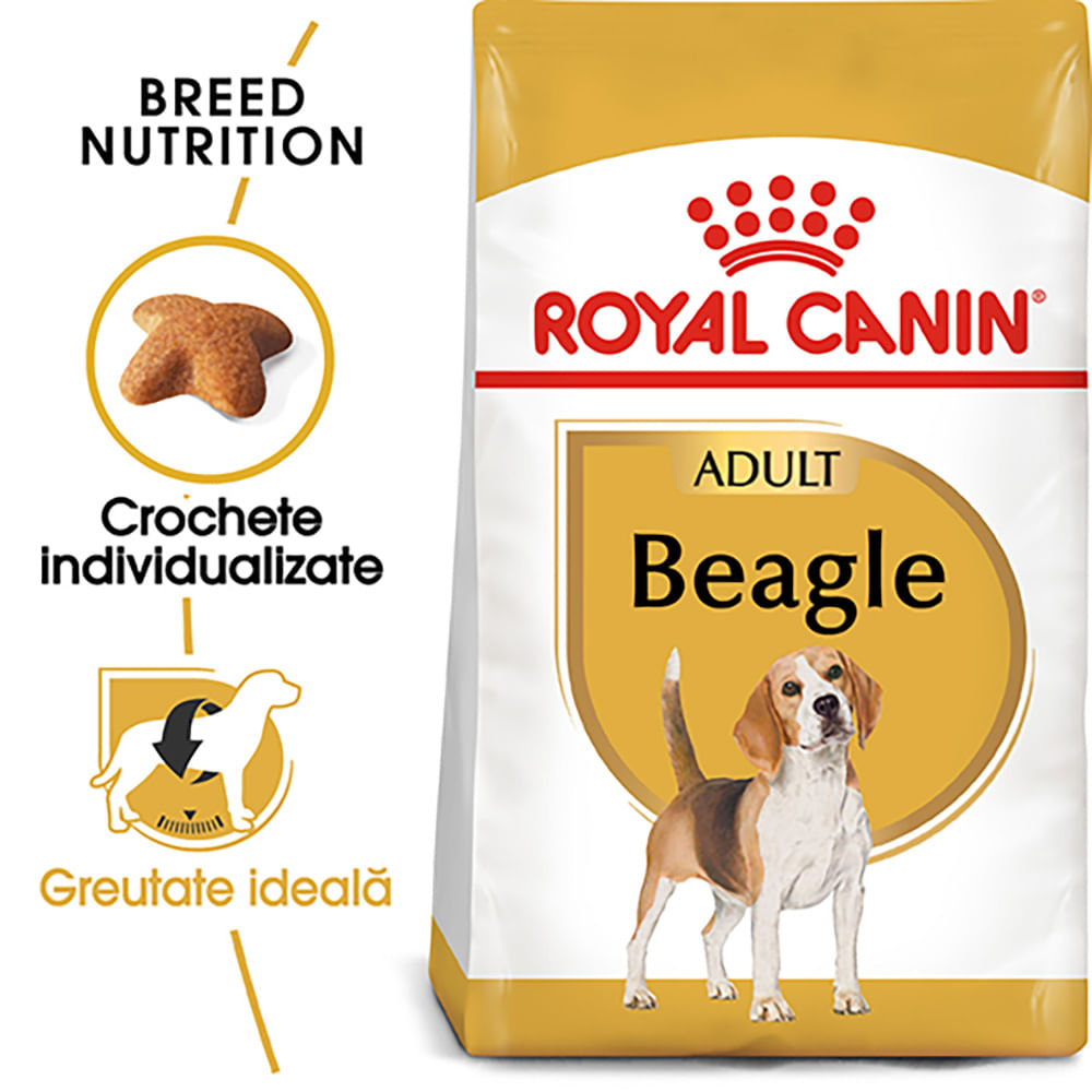 ROYAL CANIN Beagle Adult, hrană uscată câini, 3kg - poza 1