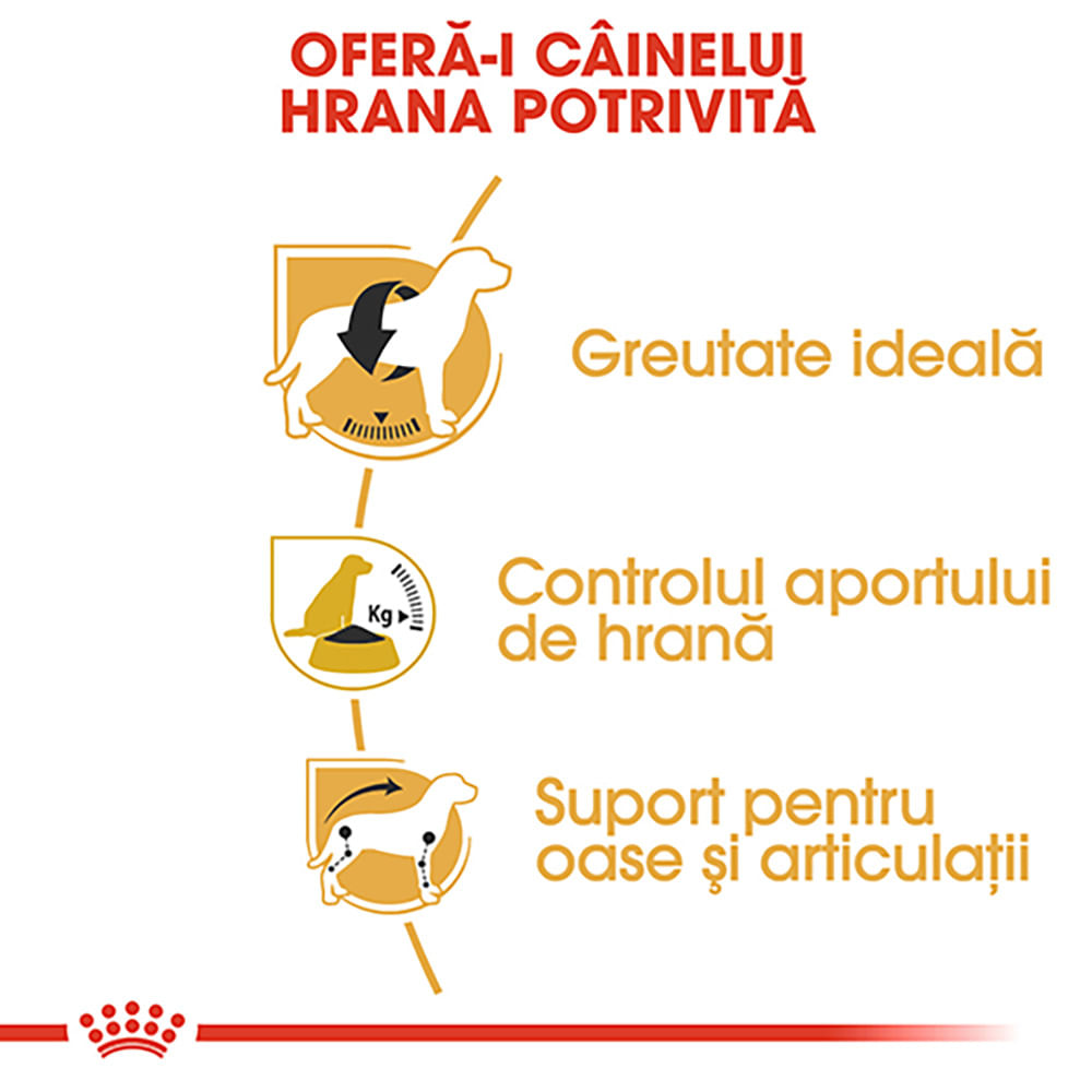 ROYAL CANIN Beagle Adult, hrană uscată câini, 3kg - poza 5