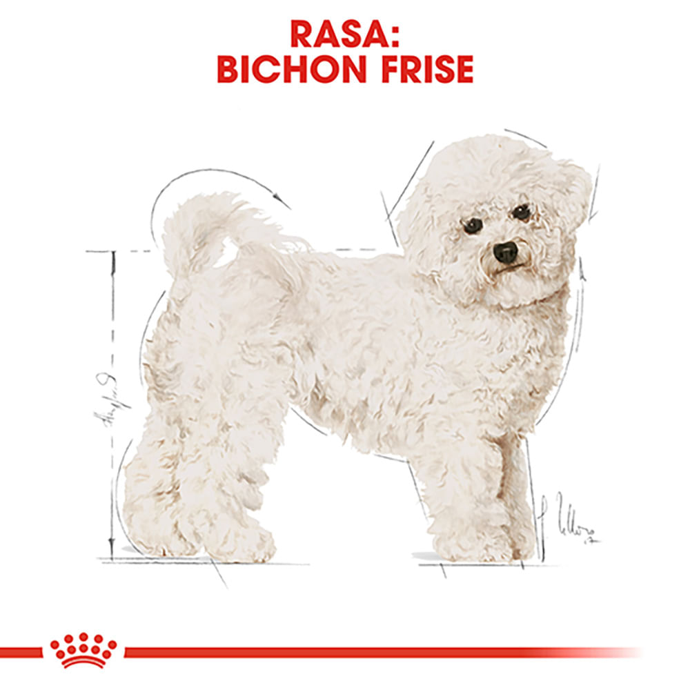 ROYAL CANIN Bichon Frise Adult, hrană uscată câini, 1.5kg - poza 4
