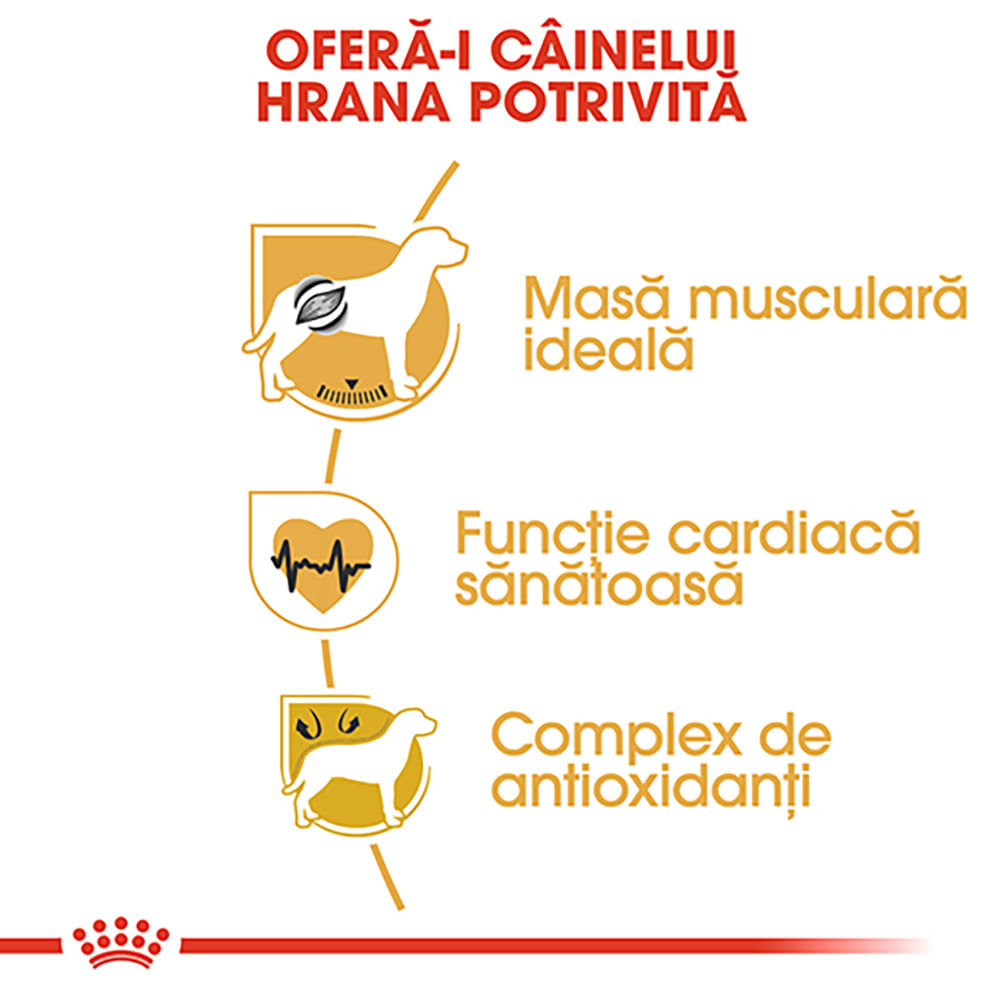 ROYAL CANIN Boxer Adult, hrană uscată câini, 12kg - poza 5