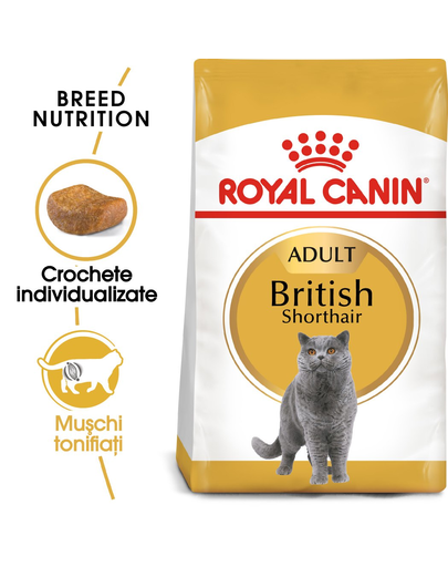 Royal Canin British Shorthair Adult hrana uscata pisica, 400 g