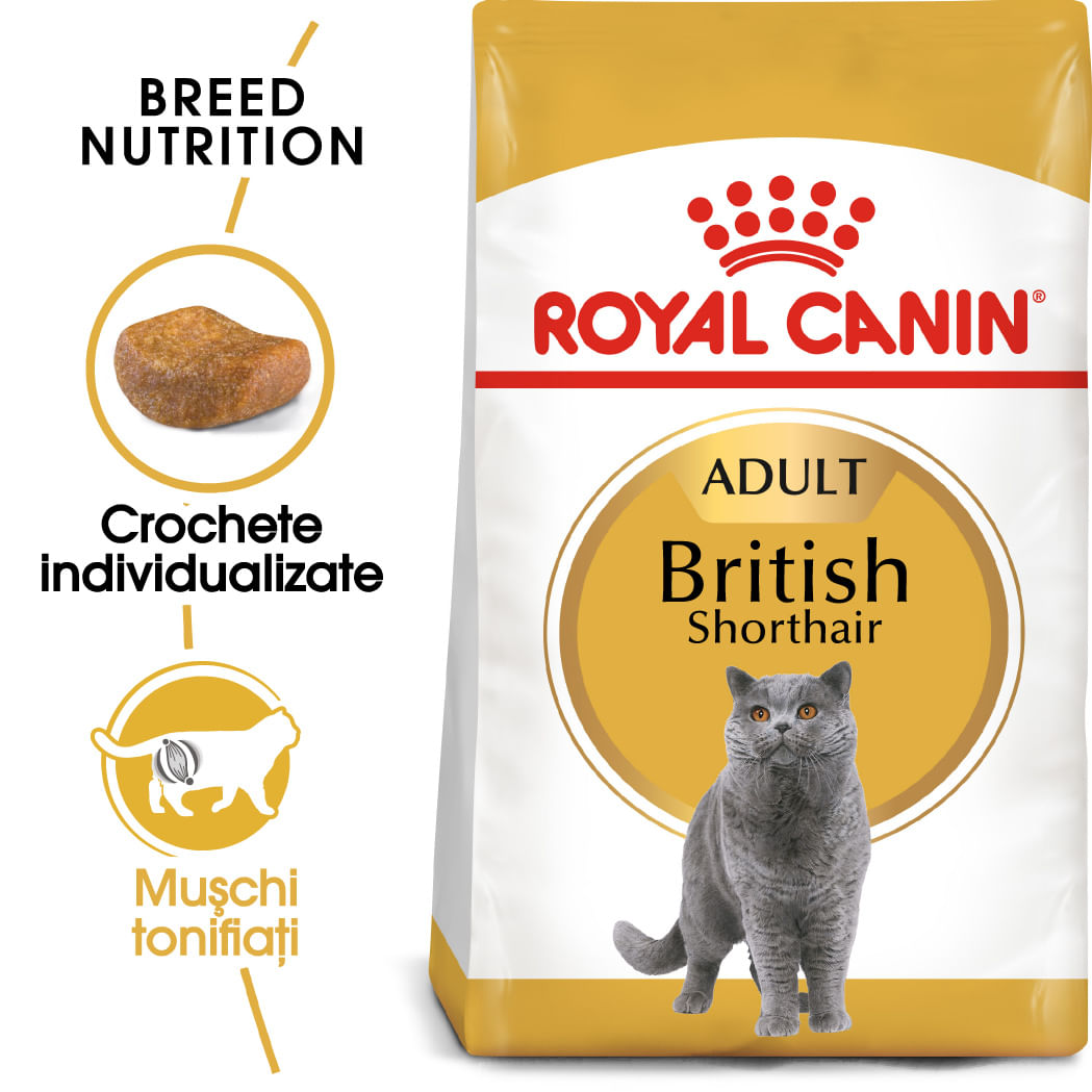 ROYAL CANIN British Shorthair Adult, hrană uscată pisici, 10kg - poza 2
