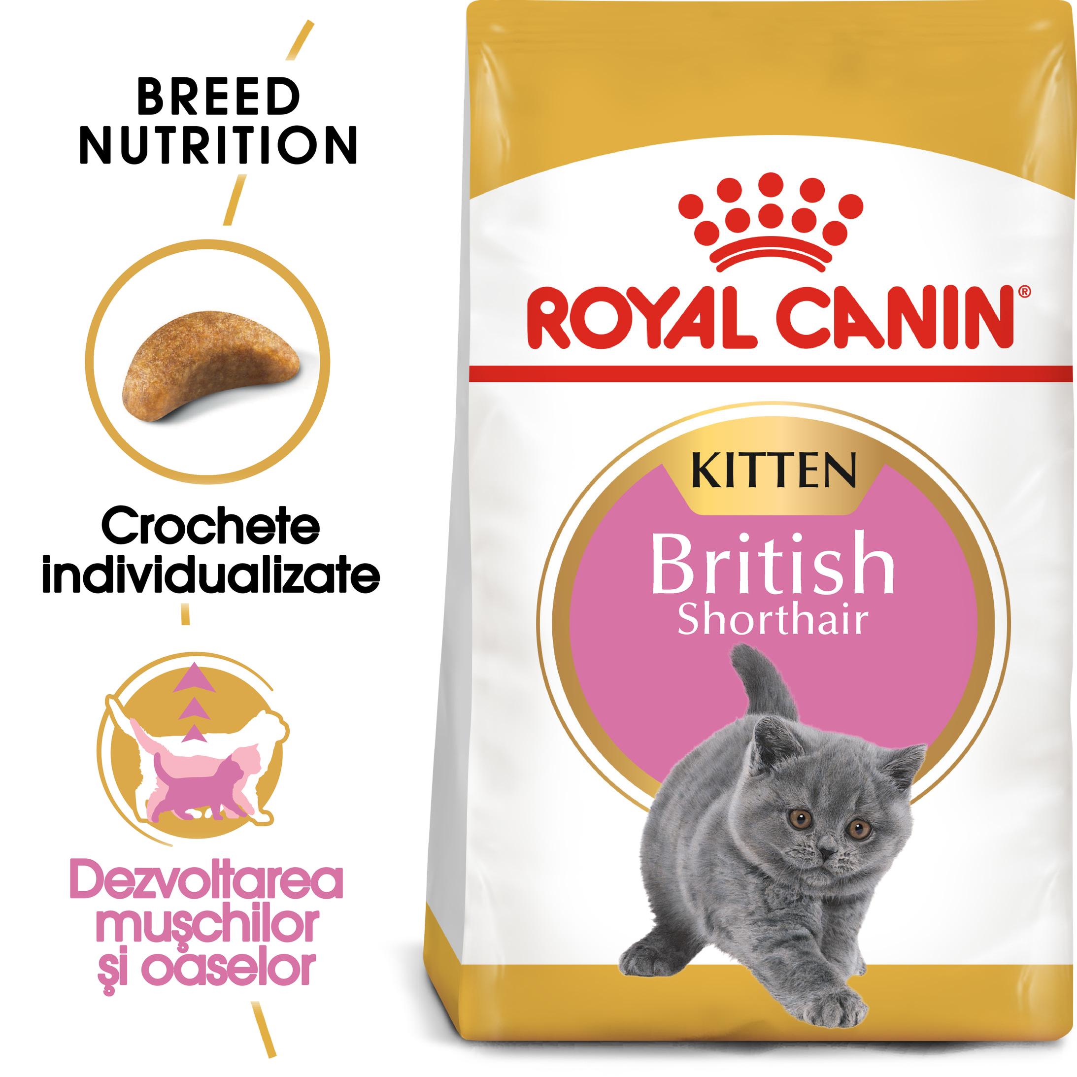 ROYAL CANIN British Shorthair Kitten, hrană uscată pisici junior, 10kg - poza 2