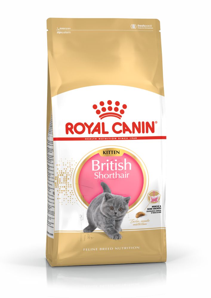 ROYAL CANIN British Shorthair Kitten, hrană uscată pisici junior, 10kg - poza 3