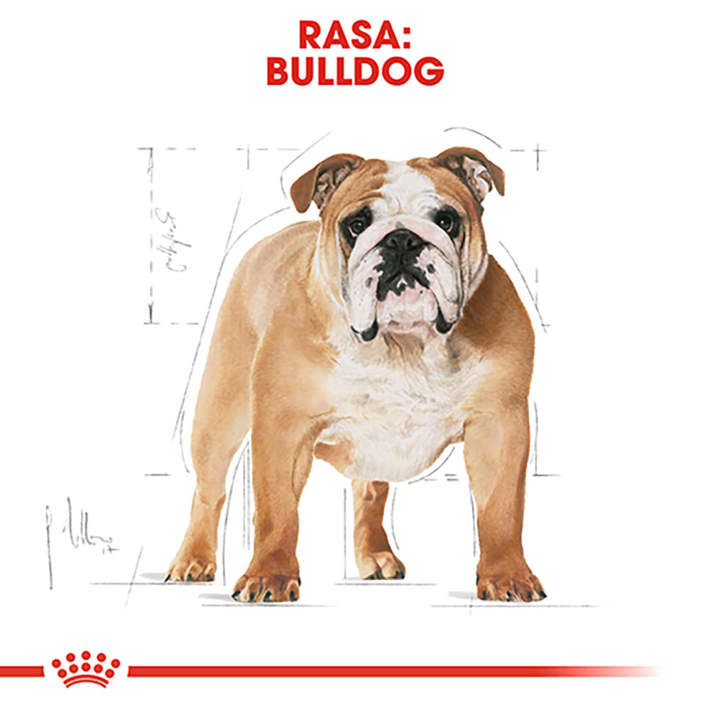 ROYAL CANIN Bulldog Adult, hrană uscată câini, 3kg - poza 4