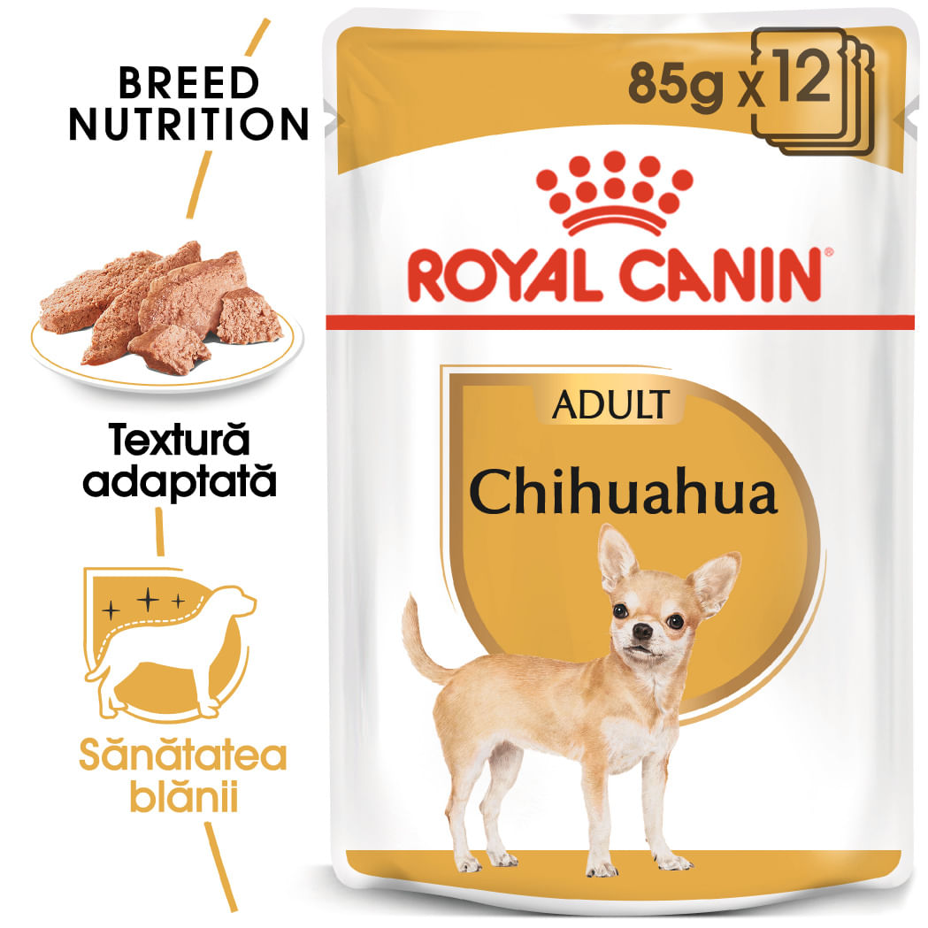 ROYAL CANIN Chihuahua Adult, hrană umedă câini, (pate), bax, 85g x 12buc - poza 2
