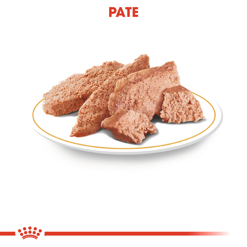 ROYAL CANIN Chihuahua Adult, hrană umedă câini, (pate), bax, 85g x 12buc - poza 5