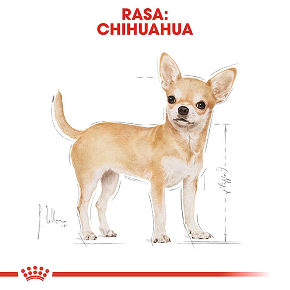 ROYAL CANIN Chihuahua Adult, hrană uscată câini, 1.5kg - poza 4