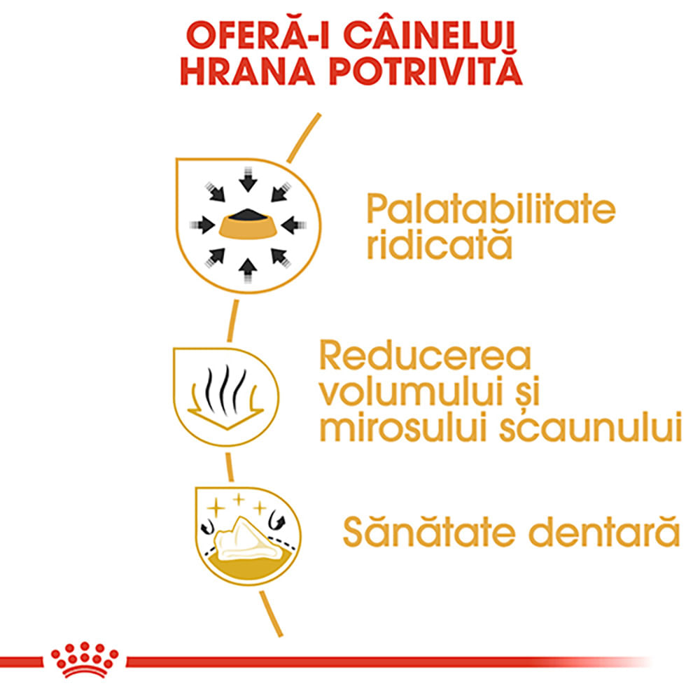 ROYAL CANIN Chihuahua Adult, hrană uscată câini, 1.5kg - poza 5