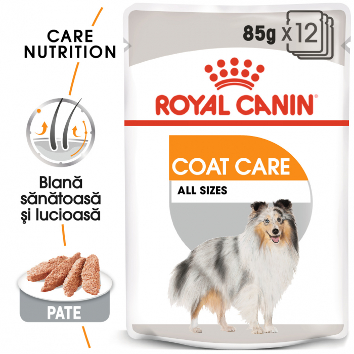 Royal Canin Coat Care Adult hrana umeda caine, blana sanatoasa si lucioasa (pate), 12 x 85 g