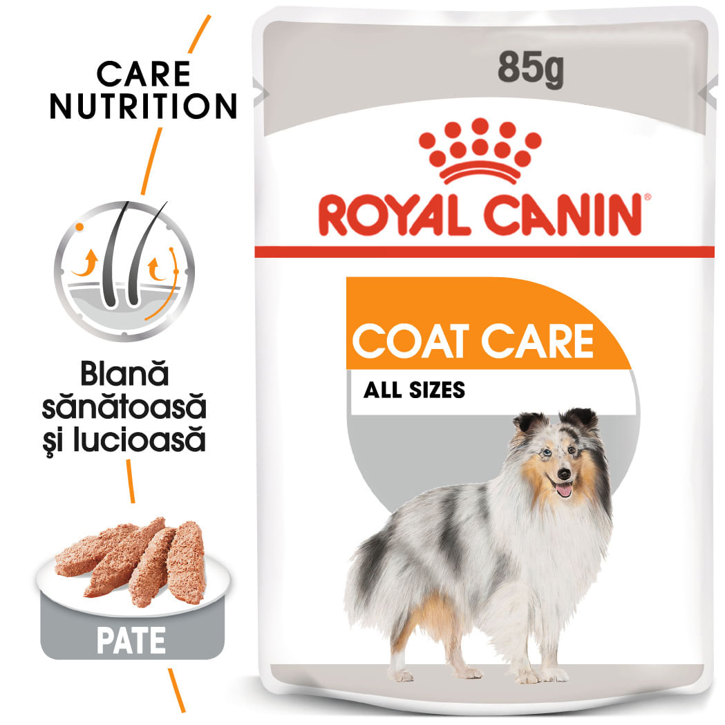 ROYAL CANIN Coat Care Adult, hrană umedă câini, blană sănătoasă și lucioasă, (pate), 85g - poza 2