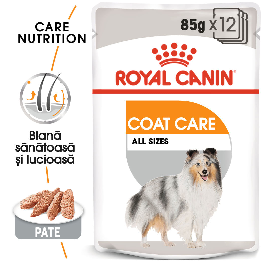ROYAL CANIN Coat Care Adult, hrană umedă câini, blană sănătoasă și lucioasă, (pate), bax, 85g x 12buc - poza 1