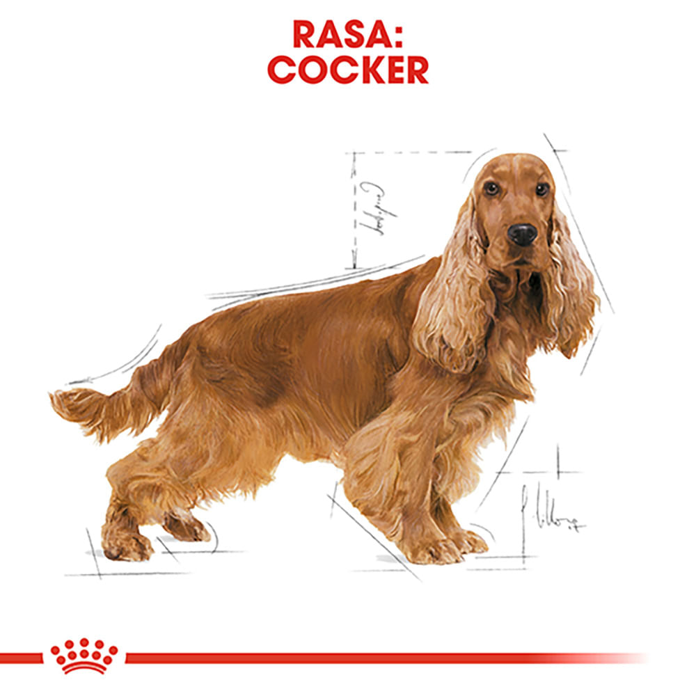 ROYAL CANIN Cocker Adult, hrană uscată câini, 3kg - poza 4