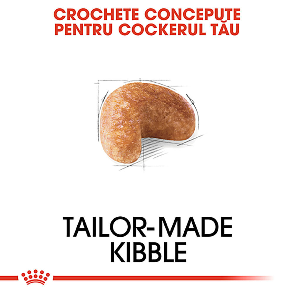 ROYAL CANIN Cocker Adult, hrană uscată câini, 3kg - poza 5