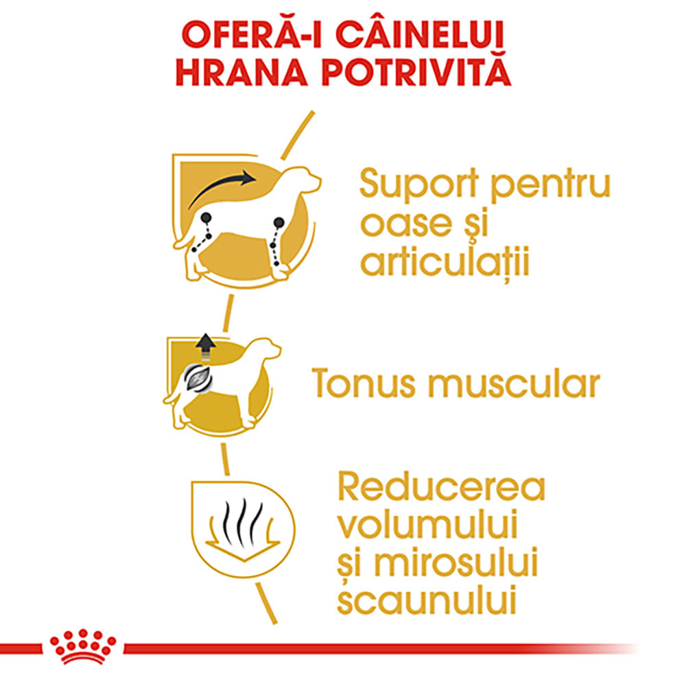 ROYAL CANIN Dachshund Adult, hrană uscată câini, 1.5kg - poza 5