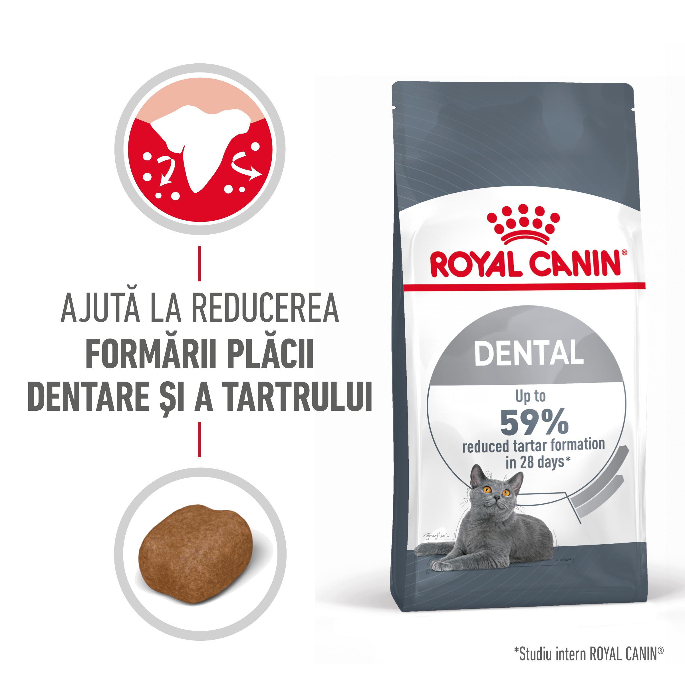 ROYAL CANIN Dental Care Adult, hrană uscată pisici, reducerea formării tartrului, 1.5kg - poza 2