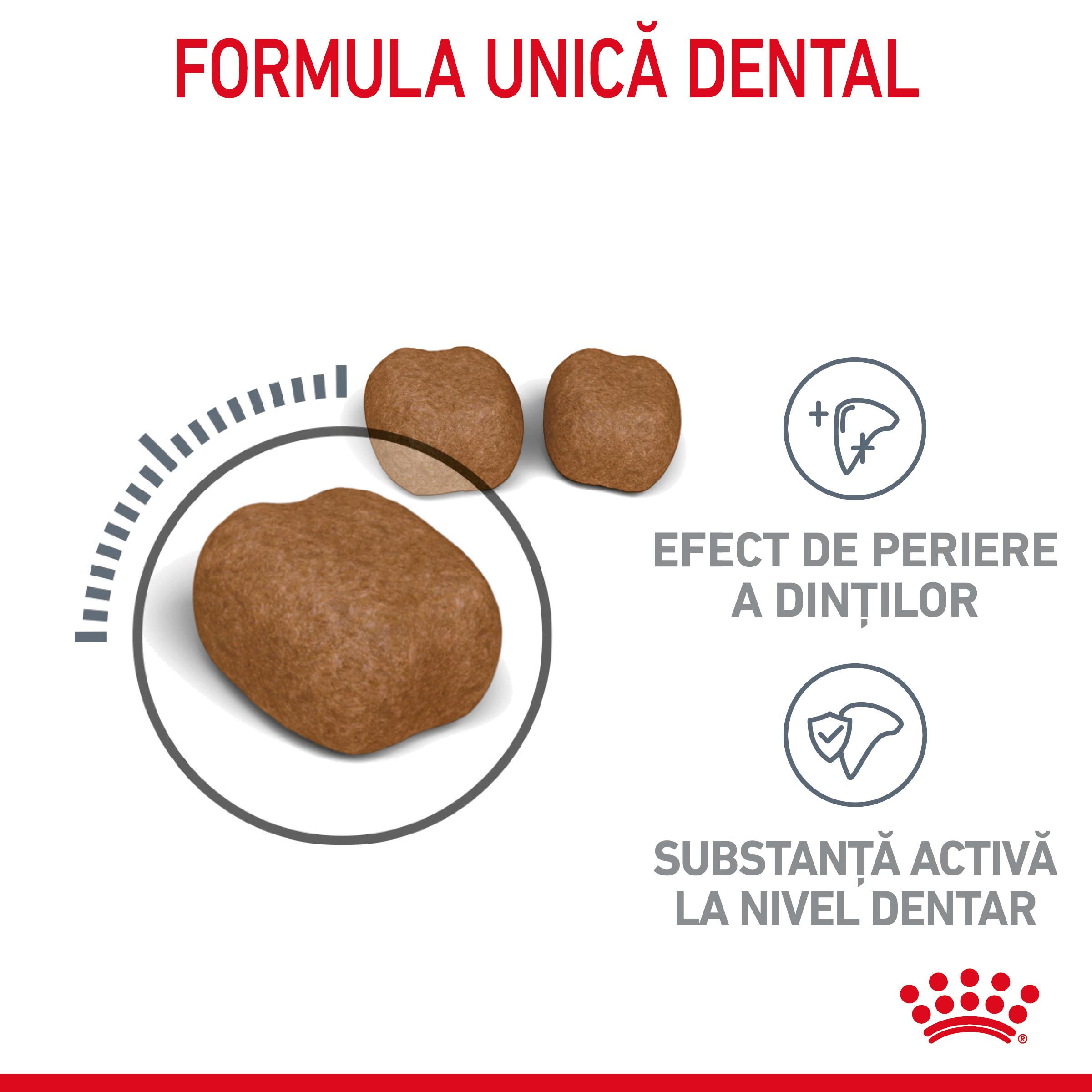 ROYAL CANIN Dental Care Adult, hrană uscată pisici, reducerea formării tartrului, 400g - poza 4