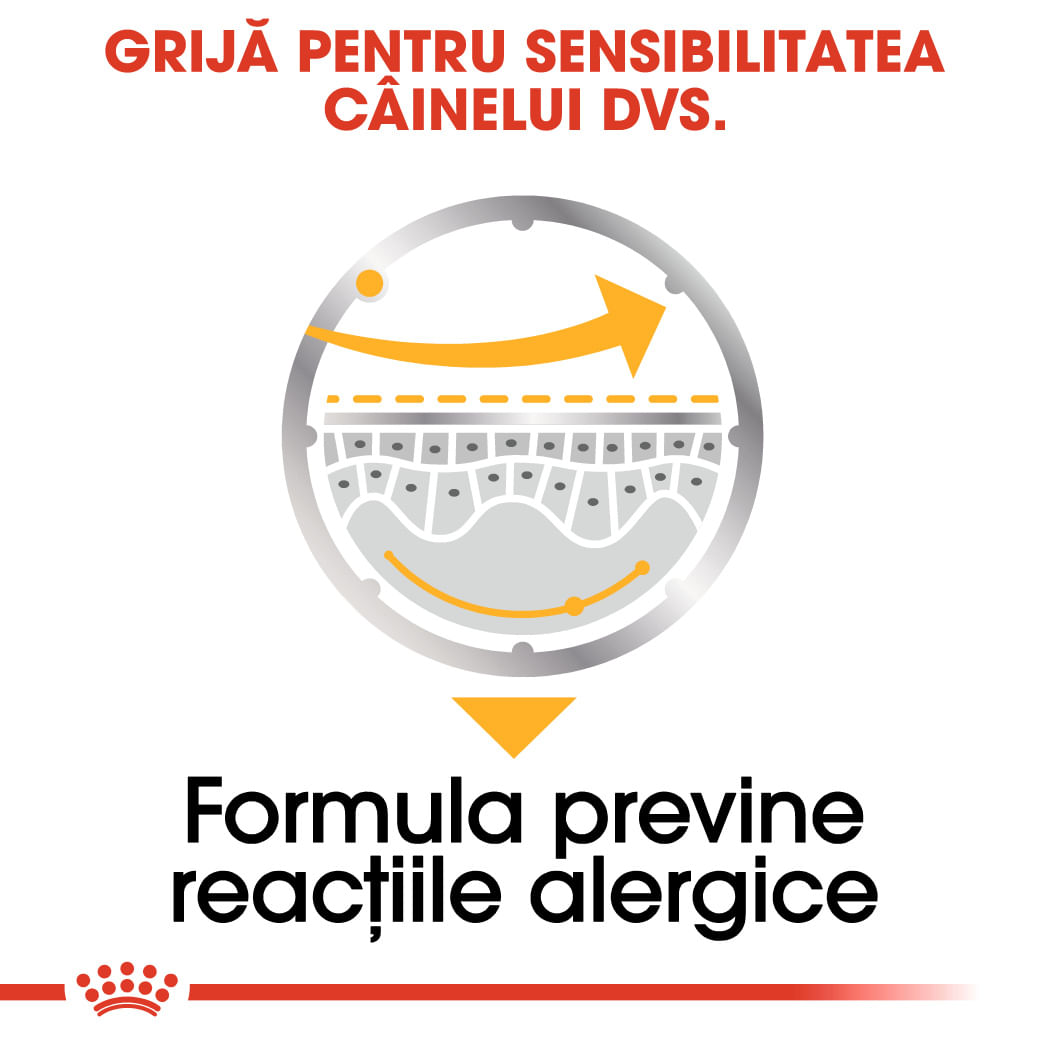 ROYAL CANIN Dermacomfort Adult, hrană umedă câini, prevenirea iritațiilor pielii, (pate), bax, 85g x 12buc - poza 5