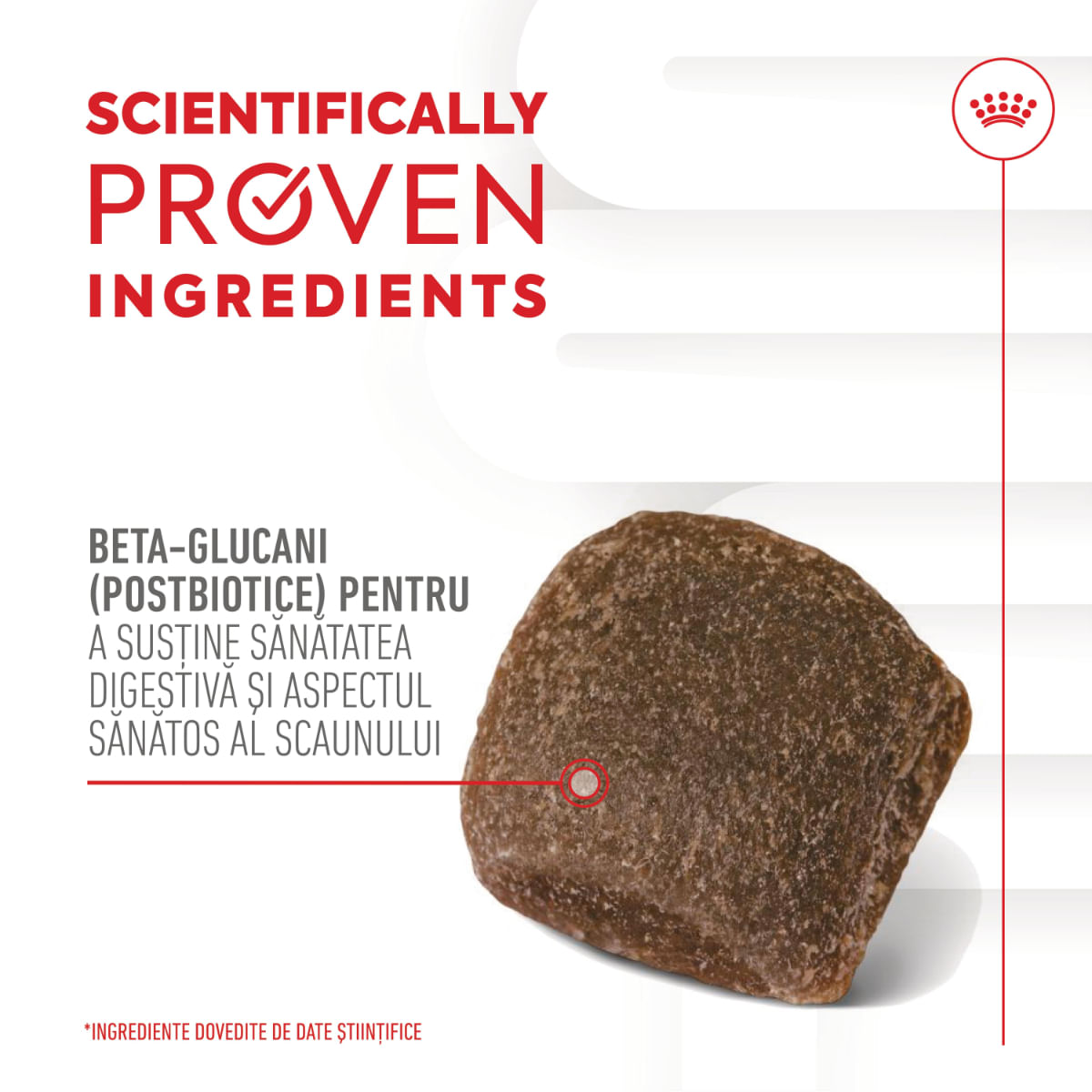 ROYAL CANIN Digestion Chews Adult Supplements, punguță recompense funcționale câini, sistem digestiv, 160g - poza 4