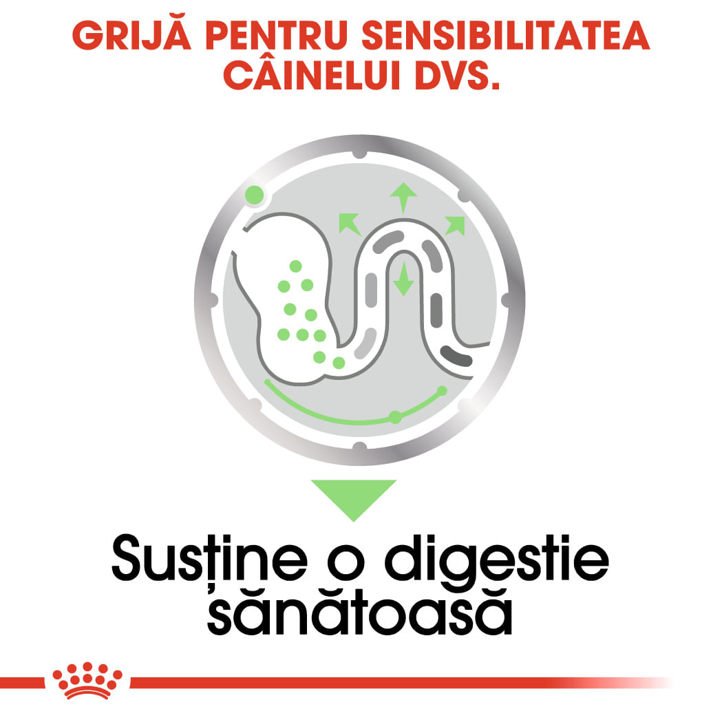 ROYAL CANIN Digestive Care Adult, hrană umedă câini, confort digestiv, (pate), 85g - poza 5