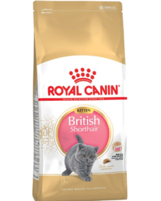 Royal Canin Felin British Shorthair Kitten - royal-canin,400-g