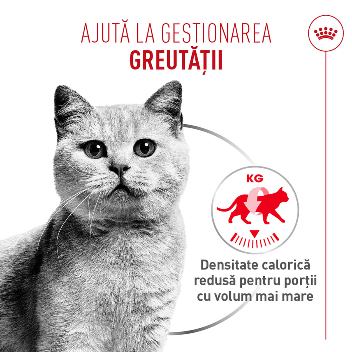 ROYAL CANIN Feline Care Nutrition Light Weight Care AirLift, conservă hrană umedă pisici, obezitate, (mousse), 85g - poza 5
