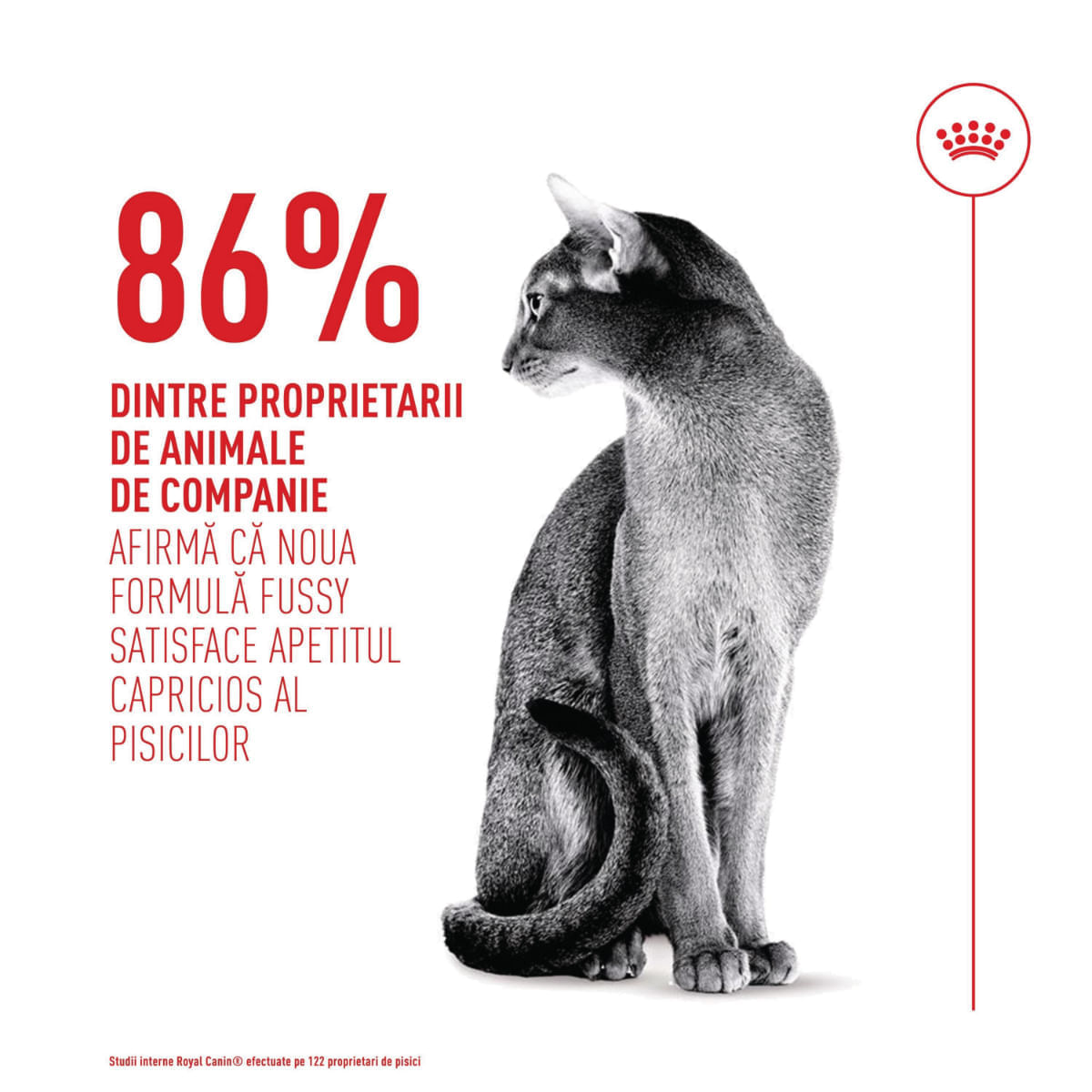 ROYAL CANIN Feline Health Nutrition Fussy, hrană uscată pisici, apetit capricios, 10+2kg GRATUIT - poza 5