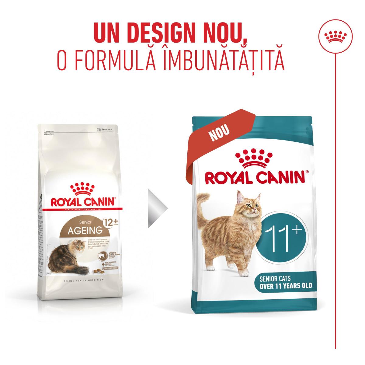 ROYAL CANIN Feline Health Nutrition Healthy Ageing 11+, hrană uscată pisici senior, 4kg - poza 4