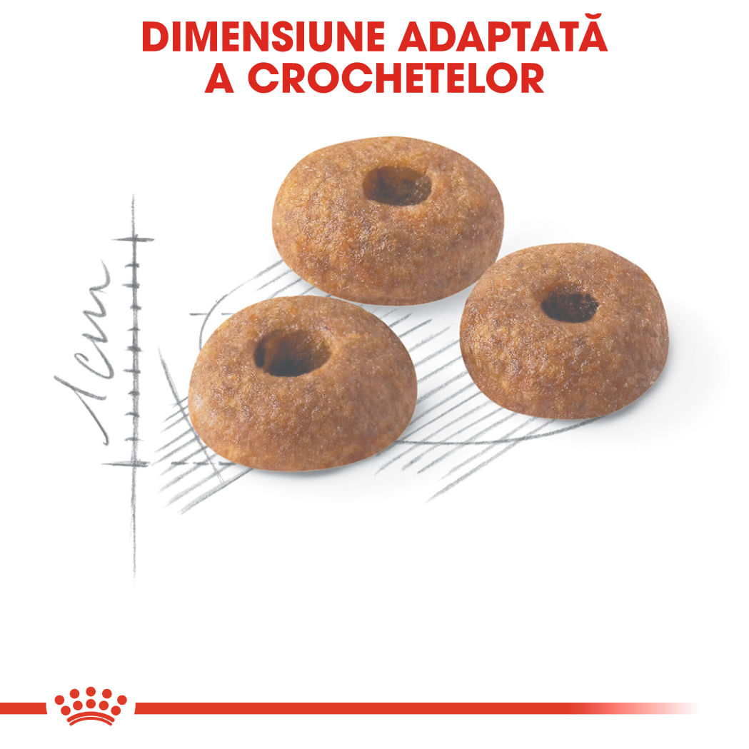 ROYAL CANIN Fit32 Adult, hrană uscată pisici, activitate fizică moderată, 10kg - poza 5